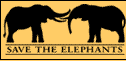 Save the Elephants